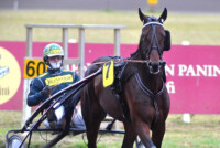 Little Tobin Hannu Torvinen_Rauli Ala-Karvia