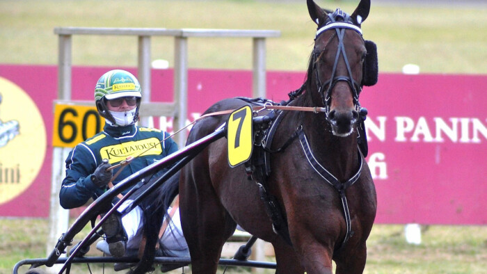 Little Tobin Hannu Torvinen_Rauli Ala-Karvia