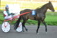 RAVIRoyalEagleOlliKoivunen