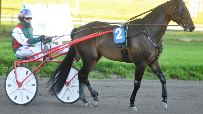 RAVIRoyalEagleOlliKoivunen