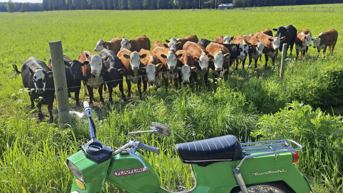 KUVAKISAjarisaarinen