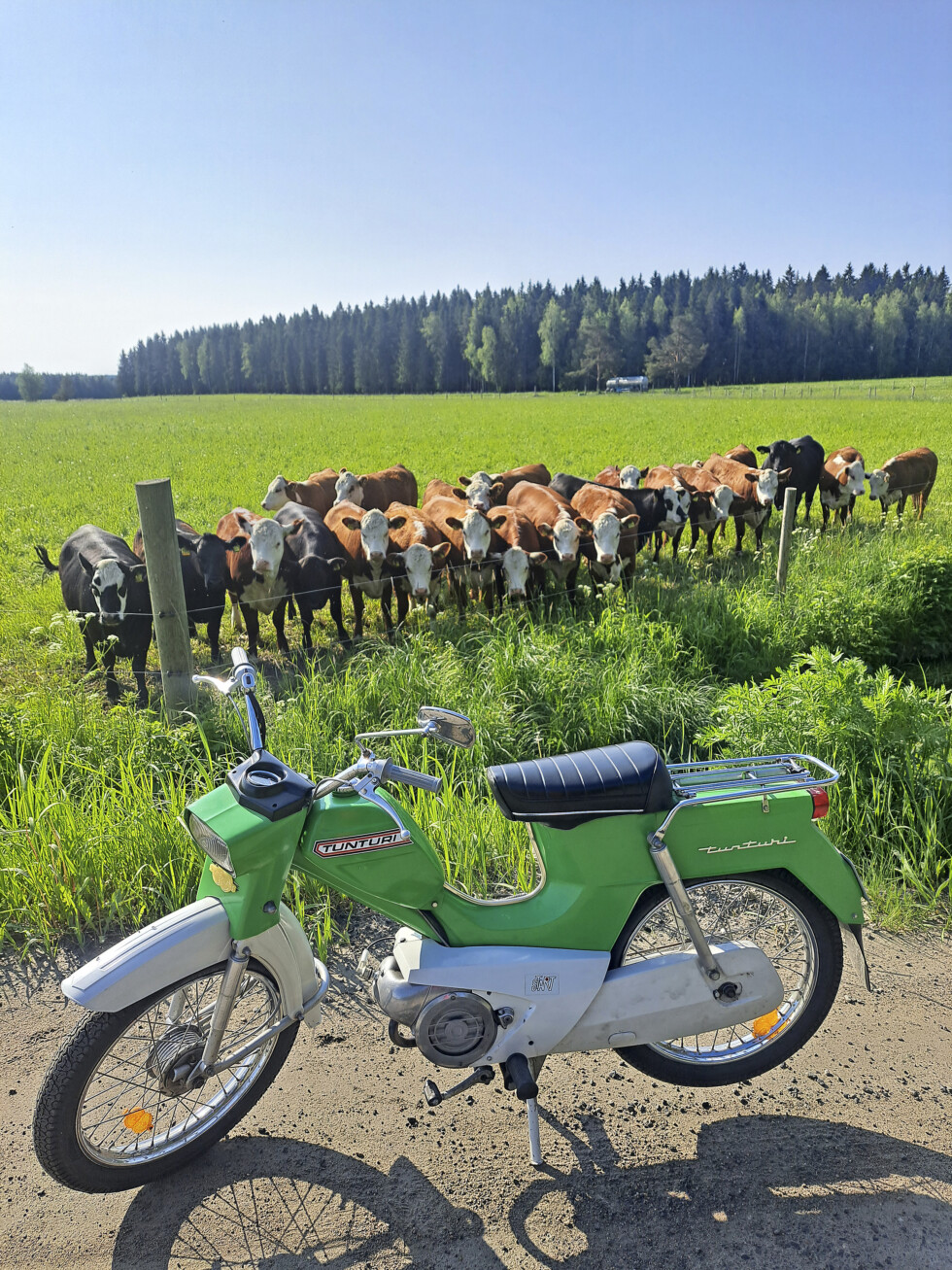 KUVAKISAjarisaarinen