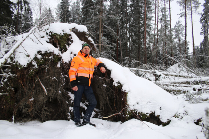 metsatuhot Tuomo Narkki1_HI