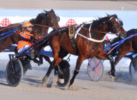 RAVIDoreaFridoTommiKylliäinen