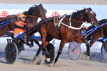 RAVIDoreaFridoTommiKylliäinen