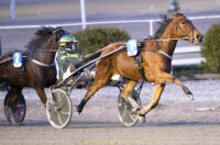 Luca Fastback Hannu Torvinen Teivon ravit copy