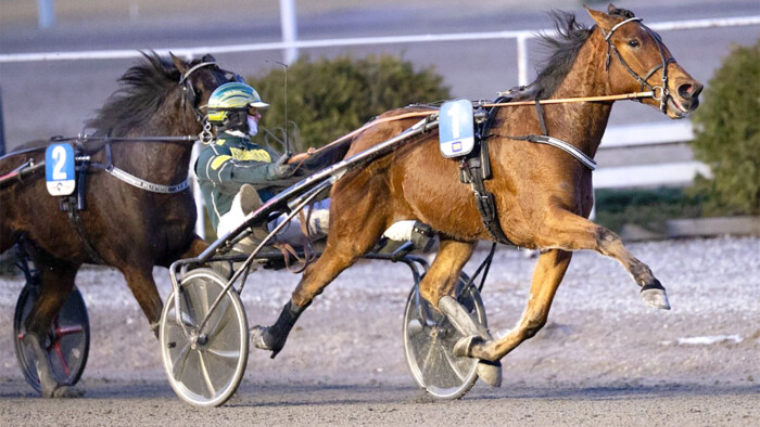 Luca Fastback Hannu Torvinen Teivon ravit copy