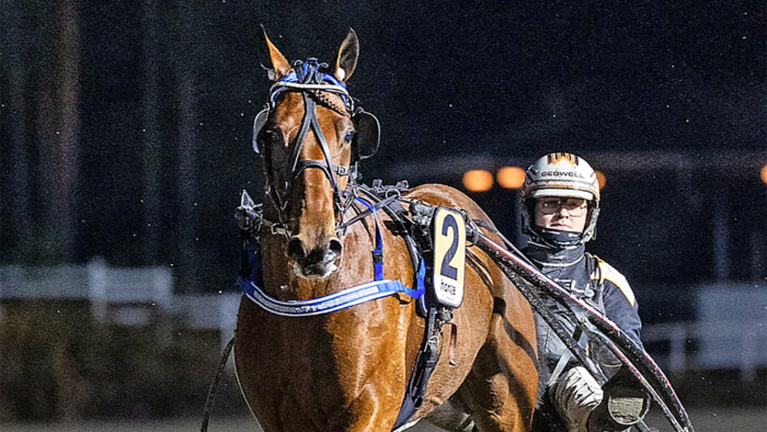 RAVITMachoMatchTuukkaVarisTeivo