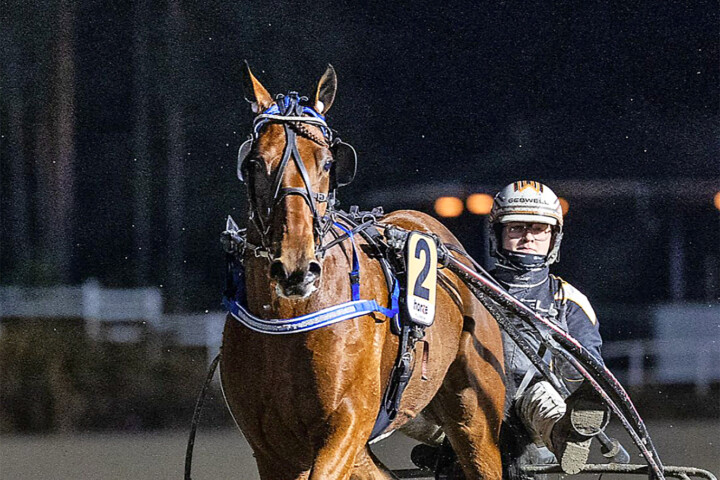 RAVITMachoMatchTuukkaVarisTeivo