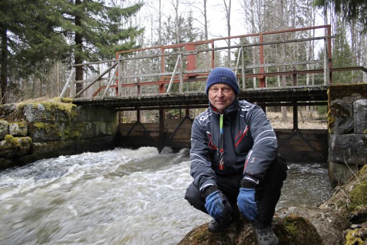 Nokorinkosken pato Pekka Heikkila2_HI