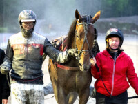ravit