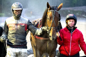 ravit
