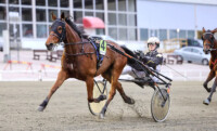 Fathers Pride ja Tuukka Varis Teivon ravit Maisa Hyttinen