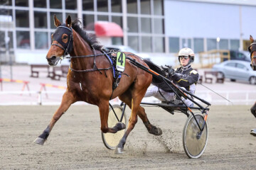 Fathers Pride ja Tuukka Varis Teivon ravit Maisa Hyttinen