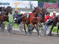 Velshede Markku Nieminen 4.6.2026_Rauli Ala-Karvia