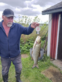 toutain Hannu Paasikangas_Mervi Paasikangas