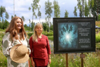 Pölkinvuori4