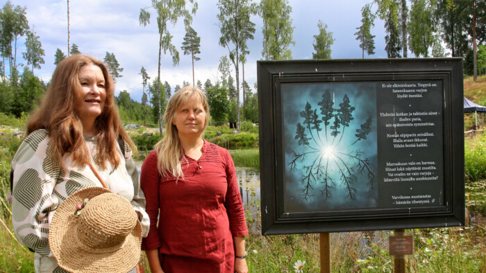 Pölkinvuori4