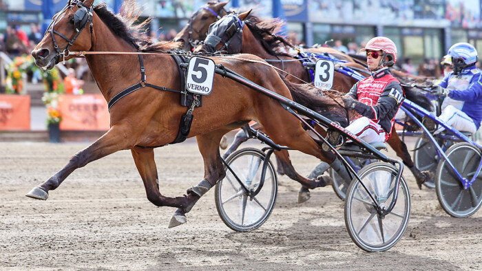 Ancio Raitala Maisa Hyttinen Hippos