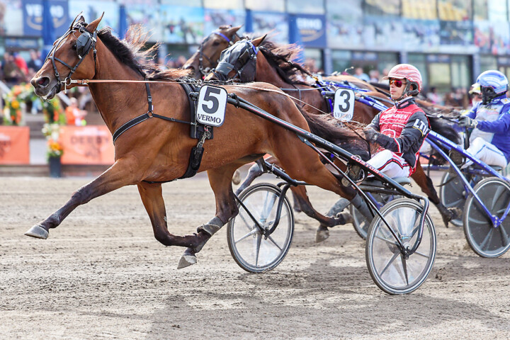 Ancio Raitala Maisa Hyttinen Hippos
