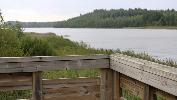 Lintutorni_Maiju Viitanen