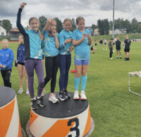 pm-viestit pronssi rajattu_Johanna Paija