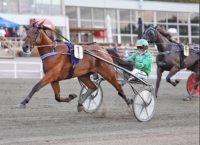 Matcho Matc Ari Moilanen Maisa Hyttinen Teivon ravit