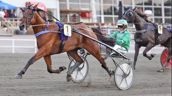 Matcho Matc Ari Moilanen Maisa Hyttinen Teivon ravit