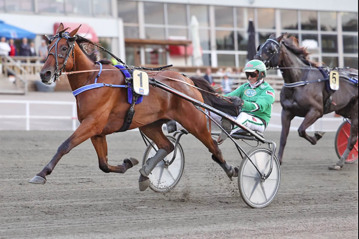 Matcho Matc Ari Moilanen Maisa Hyttinen Teivon ravit
