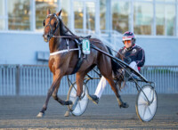 RAVINieminen