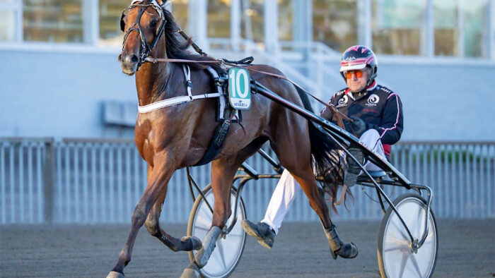 RAVINieminen